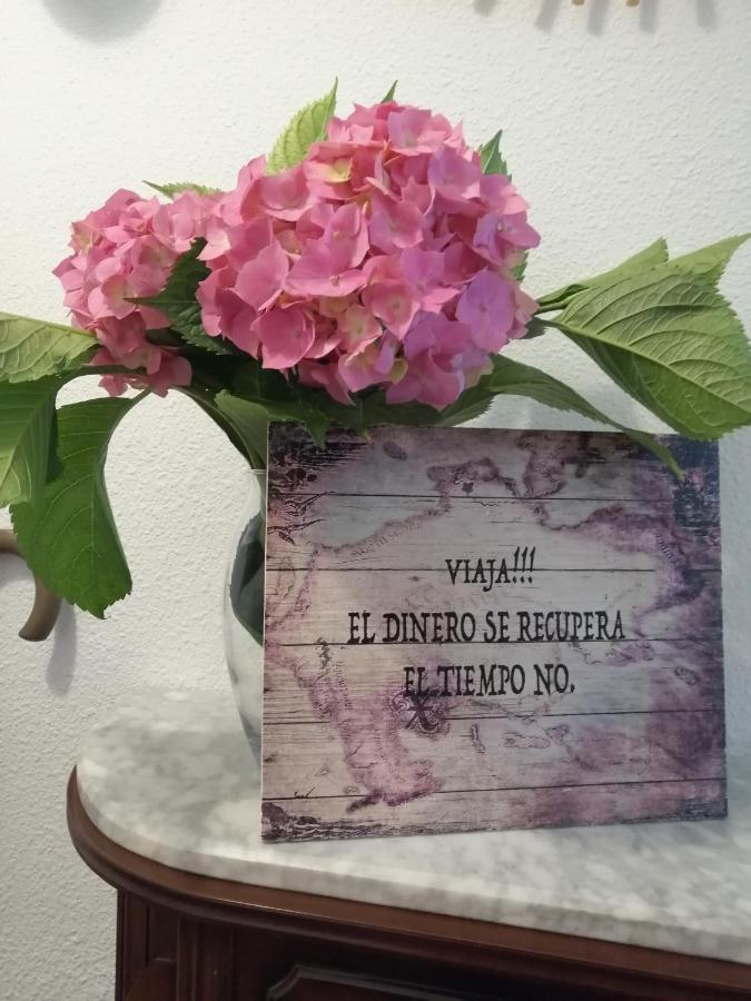 Apartamento Rio Agueera En Guriezo, Next To Castro Urdiales Y Bilbao Adino Buitenkant foto