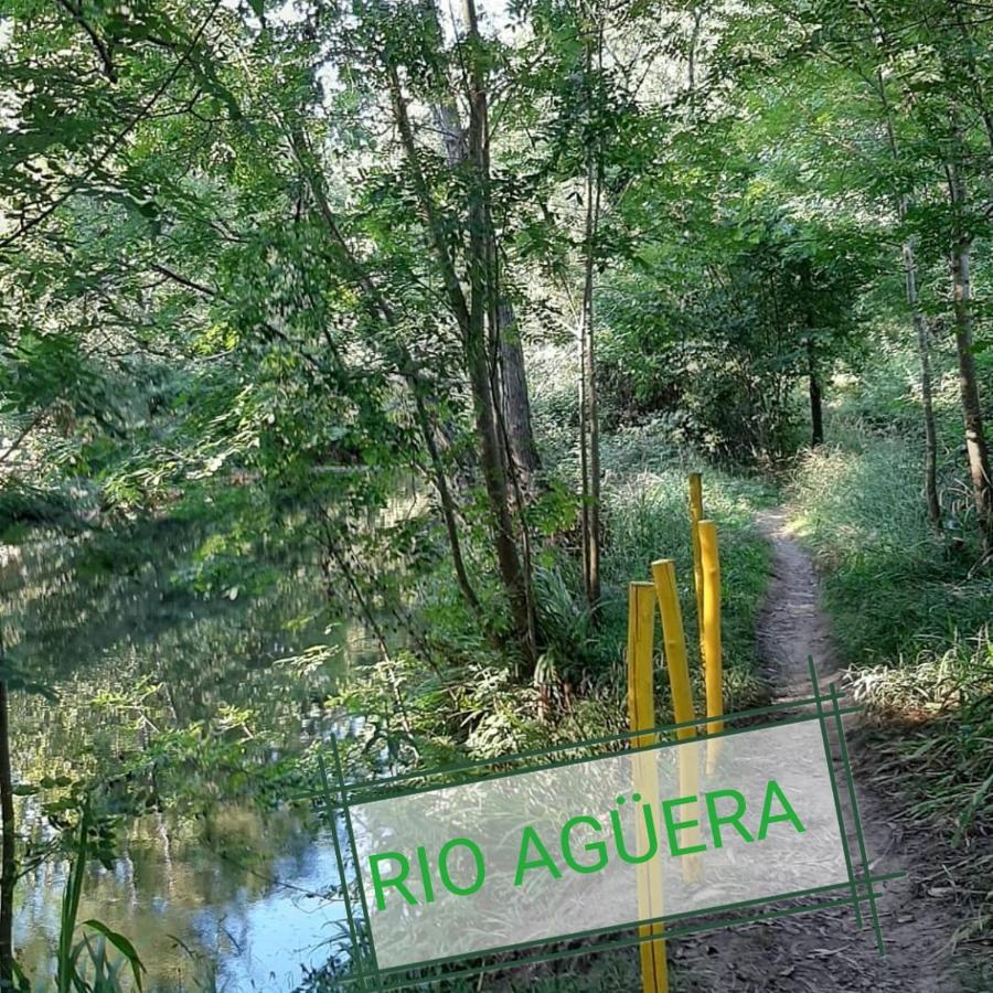 Apartamento Rio Agueera En Guriezo, Next To Castro Urdiales Y Bilbao Adino Buitenkant foto